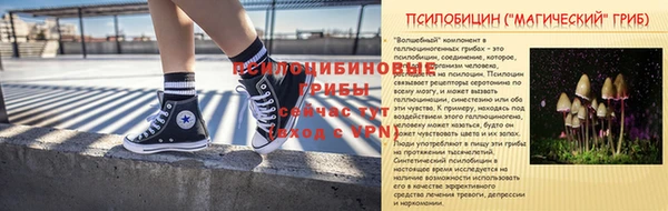 стаф Алзамай