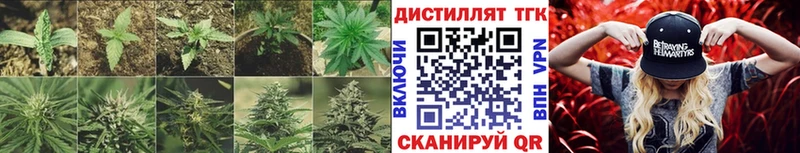 Купить закладки  Георгиевск  ТГК вейп с тгк 